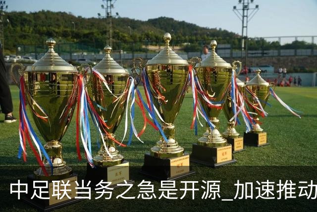 中足联当务之急是开源 加速推动中国足球职业化